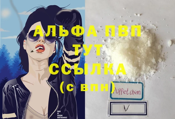 СК Володарск